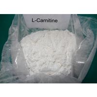 CAS 541-15-1 Slim Beauty L-carnitine Powder USP with 97-103% purity for Weight-Loss powder thumbnail image
