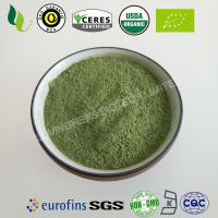 Organic barley grass powder/ juice powder thumbnail image