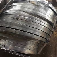 Z60 Z275G/M2 Galvanized Steel Coil Gi Steel Strips Steel Tape Gi Narrow Strip 0.15-3.0mm 20mm 30mm 5 thumbnail image