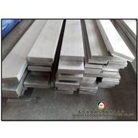 AISI 304 Stainless Steel Flat bar thumbnail image