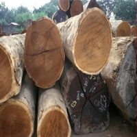 Walnut Veneer Logs and Saw Logs, 30+ cm Diameter thumbnail image