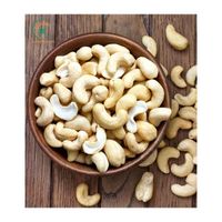 Top Products Good Price Cashew Nuts From Vietnam Wholesale Healthy Cashew thumbnail image