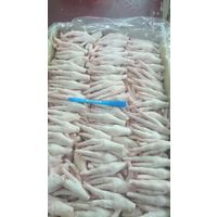 Chicken Feet and Paw thumbnail image