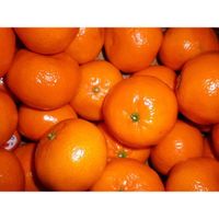 Tangerines thumbnail image