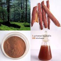 Pine Bark Extract OPC 95%UV thumbnail image