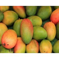 Premium Quality 2021 Fresh Mango thumbnail image