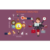 Business Analysis Services thumbnail image