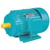 Y Series Three-phase Induction Electric Motor thumbnail image