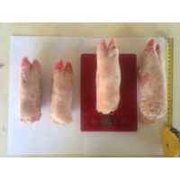 Frozen pork feet, pork heads and pork belly thumbnail image