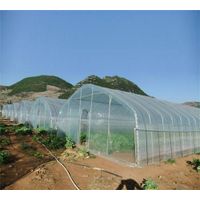Tunnel type greenhouse thumbnail image