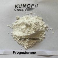 Progesterone CAS 57-83-0 Steroids Powders thumbnail image