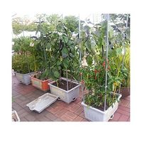 Self-watering Sub-irrigation Pot for Urban Farming and Home Gardening thumbnail image