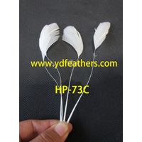 Stripped White Rooster/Coque/Cock Tail Feather From China thumbnail image