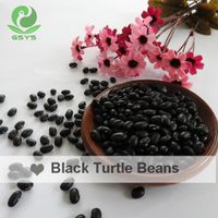 Black turtle beans thumbnail image