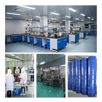 China factory supply Vanillin isobutyrate CAS 20665-85-4 thumbnail image