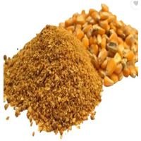 Corn Gluten Meal 60% Protein / Wheat Bran / Rice Bran thumbnail image