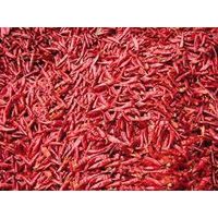 DRY RED CHILLIES thumbnail image