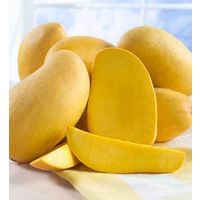 fresh mango thumbnail image