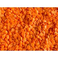 high quality grade red and yellow lentils whole sale supplier thumbnail image