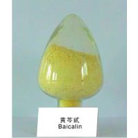 Baicalin Extracted from Scutellaria baicalensis Georgi thumbnail image
