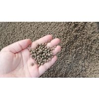 What are the qualities of a good fish feed? thumbnail image