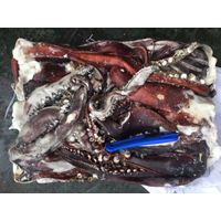 giant squid tentacles thumbnail image