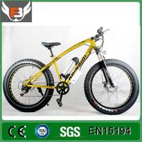 Hub Motor Electric Bicycle/Bike with 26*4.0 Fat Tire thumbnail image