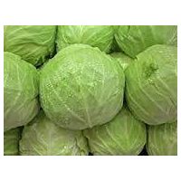 Fresh Cabbages thumbnail image