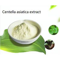 Centella Asiatica Extract thumbnail image