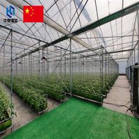 Agricultural greenhouse thumbnail image