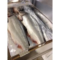 Fresh and Frozen Atlantic Salmon Fish thumbnail image