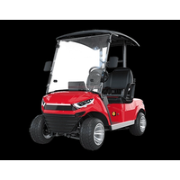 ETONG Electric Vehicles Golf Carts thumbnail image