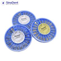 Dental Gold Plated Screw Post Stainless Steel 120pcs thumbnail image