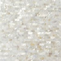 Manufacture for seashell mosaic tiles Natural color MSW1009 thumbnail image