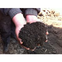 Fertile soil thumbnail image