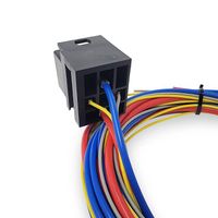 Wiring harness and relay wiring kit for electric fuel pump thumbnail image