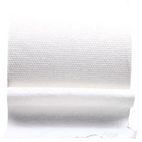 Dot plain mesh snow viscose polyester spunlace nonwoven fabric rolls for wet wipes thumbnail image