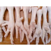 Frozen Chicken Feet/Paws thumbnail image