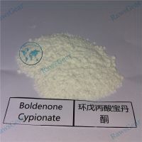Boldenone Cypionate Raw Powder 99.1% Purity thumbnail image