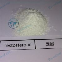 Testosterone Base (Testosterone Suspension 100mg/ml) CAS 58-22-0 thumbnail image