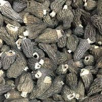 3-5CM Wild Dried Morel Mushrooms without fully stem thumbnail image