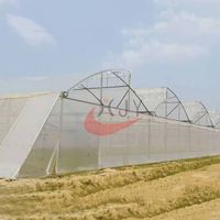 Saw Tooth Greenhouse  China Glass Greenhouse manufacturer thumbnail image