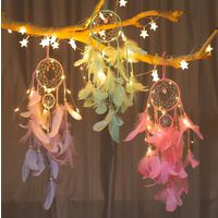 Handmade Rainbow Feather Big Dream Catcher Colored Feather with led light thumbnail image