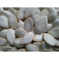 Snow white pumpkin seeds in shell, China origin thumbnail image