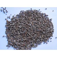 perilla frutescens seed, perilla seeds, White Perilla Seeds, Brown Perilla Seeds,Purple Perilla Seed thumbnail image