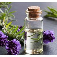 100% pure organic Lavandula angustifolia (Lavender Essential Oil)Therapeutic Grade bulk price for sk thumbnail image