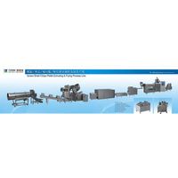 Screw/Pellet/Chips Extruding&Frying Process Line thumbnail image
