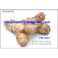 FROZEN GALANGAL/ DRY GALANGAL SLICES/ GALANGAL POWDER/ ZEODARY in SKYPE snow_rose26 thumbnail image