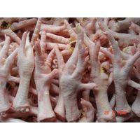 Frozen Grade A Chicken Feet and Paws thumbnail image