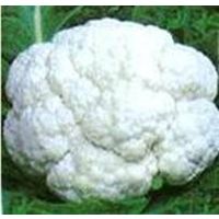 Fresh Vegetable Cauliflower thumbnail image